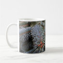 Search for buds mugs Nature