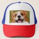Search for add photo hats Dog