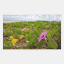 Search for hanalei stickers Hawaii