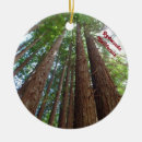 Search for redwood trees christmas tree decorations Forest