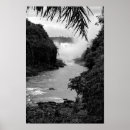 Search for black and white forest posters Water