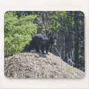 Search for mud mousepads Wildlife