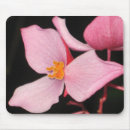 Search for begonia electronics Floral