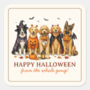 Search for cute halloween dog stickers Golden retriever