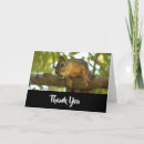 Search for squirrel thank you cards Cute