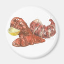 Search for lobsters magnets Maine lobster