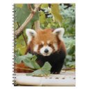 Search for red panda notebooks Endangered
