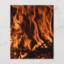 Search for fire flyers Orange
