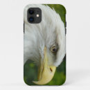 Search for american eagle iphone cases Bald