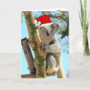 Search for australian christmas cards koala