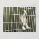 Search for cages postcards Dogs