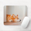 Search for sleeping puppy electronics Dog