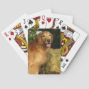 Search for golden retriever playing cards Goldie