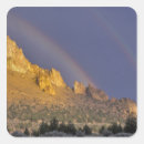 Search for smith stickers Scenic