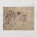 Search for grasslands postcards Nature