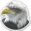 Search for eagle feathers stickers Usa