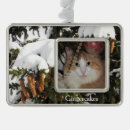 Search for home living Snow