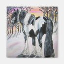 Search for gypsy magnets Pony