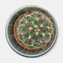 Search for stings magnets Nature