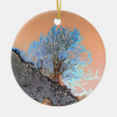 Search for lonely tree Orange