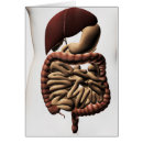 Search for descendants 3 Stomach