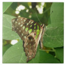 Search for iridescent tiles Green