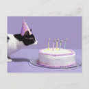 Search for veterinarian birthday cards Cat