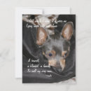 Search for shelters cards Humane society