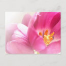 Search for spring birthday postcards Pink