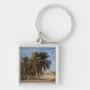 Search for north africa key rings Sahara desert