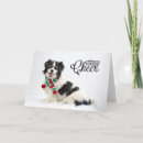 Search for pet rescue cards Charity