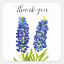 Search for lupine flower stickers Bluebonnets