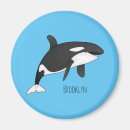 Search for killers magnets Orca
