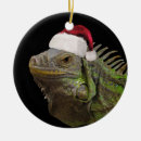Search for iguana christmas tree decorations Santa