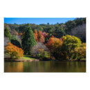 Search for large tree posters Australia