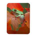 Search for fall tree magnets Green