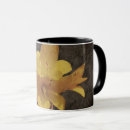 Search for asiatic mugs Background
