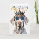 Search for weimaraner birthday cards Dogs