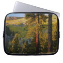 Search for public land electronics Autumn