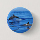 Search for dolphins badges Ocean