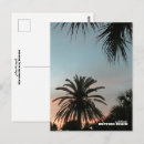 Search for sunset palm postcards Travel