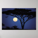 Search for tanzania National park
