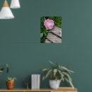 Search for serenity prayer posters Recovery