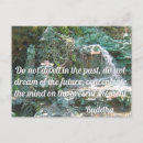Search for buddhist quote cards Inspiration