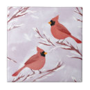 Search for cardinal tiles Beautiful