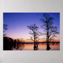 Search for silhouetted posters Wildlife