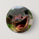 Search for farm animal badges Bird
