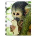 Search for cute monkey notebooks Primate