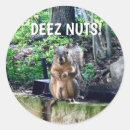 Search for squirrel stickers Funny