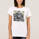 Search for chimpanzee tshirts Chimps